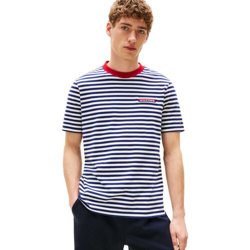 Tommy Hilfiger Americana Graphic Striped Tee